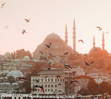 pexels caner cankisi 3999943