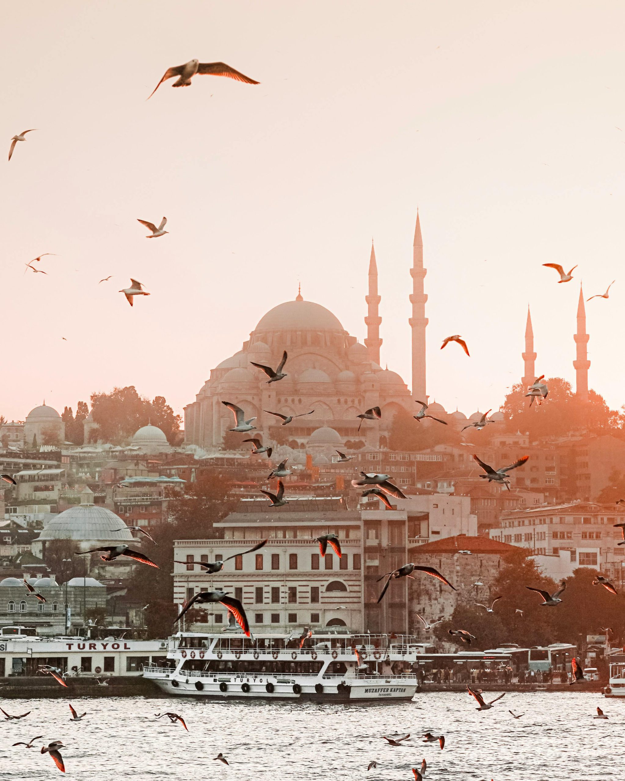 pexels caner cankisi 3999943 scaled